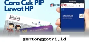 Cek Status dan Jadwal Pencairan Dana PIP 2026 Secara Praktis Lewat HP!